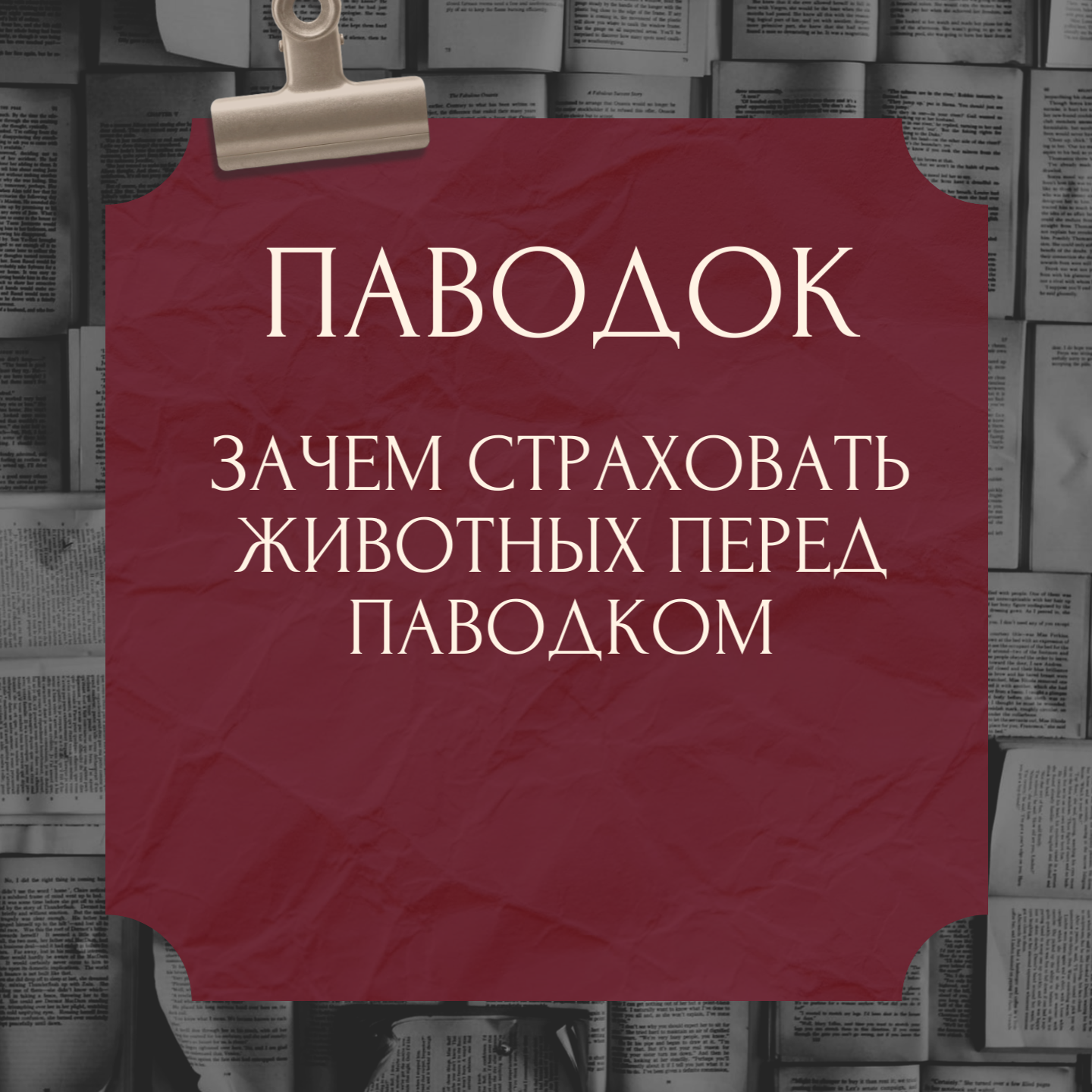 ПАВОДОК! ЗАЧЕМ НУЖНО СТРАХОВАТЬ СЕЛЬСКОХОЗЯЙСТВЕННЫХ ЖИВОТНЫХ!