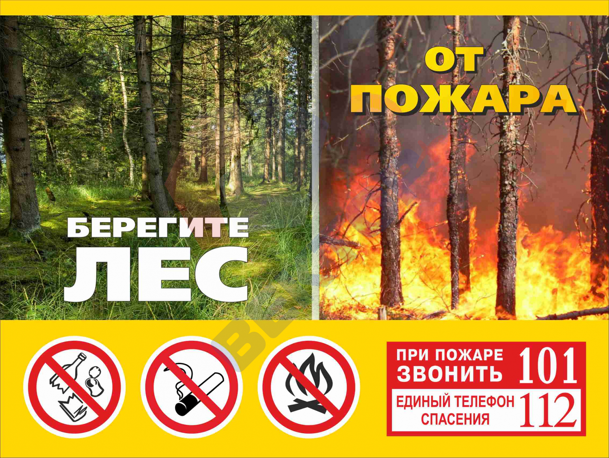 БЕРЕГИТЕ ЛЕС ОТ ОГНЯ!