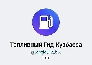 В Кузбассе запустили специальный чат-бот в мессенджере MAX по вопросам, связанным с топливом на кузбасских АЗС. 